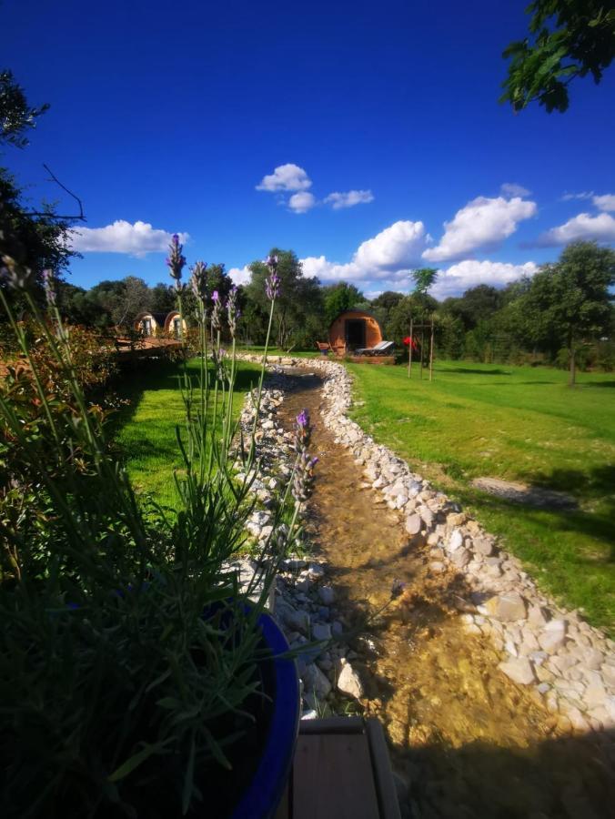Camping Les Pres Du Roi Sommieres Exterior photo